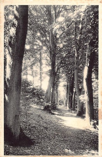 Belgique tellin une - belgique, (liège)