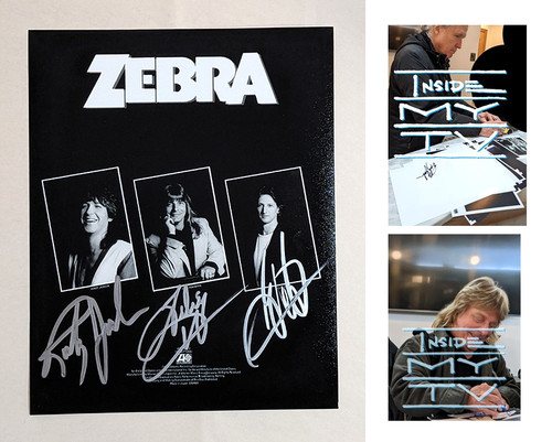 Band zebra firmata 8x10 - firmata,