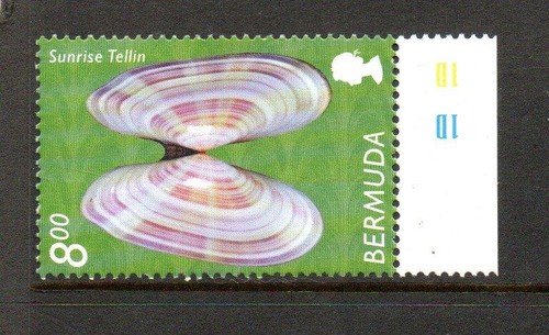 Bermuda mnh 2002 sg909 - bermuda,