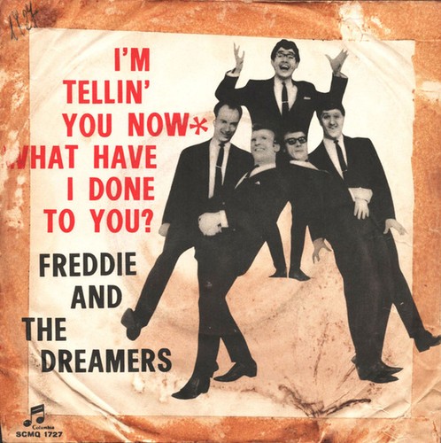 Freddie the dreamers - the, i'm